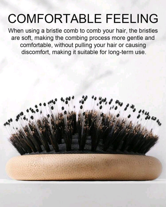 Oval Shape Boar Bristle Brush